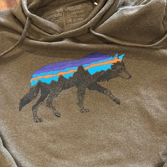 Mens Patagonia Olive Green Hoodie with Graphic Design Size Small - Picture 4 of 7